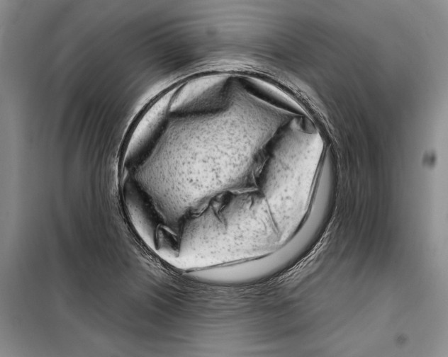 X0000099461226200806061121