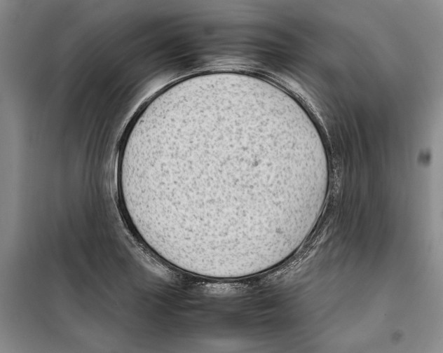 X0000099461227200806061121