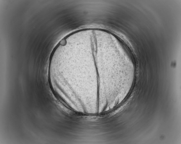 X0000099461228200806061121