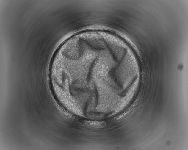 X0000099461229200806061121