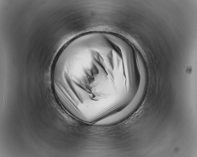 X0000099461230200806061121