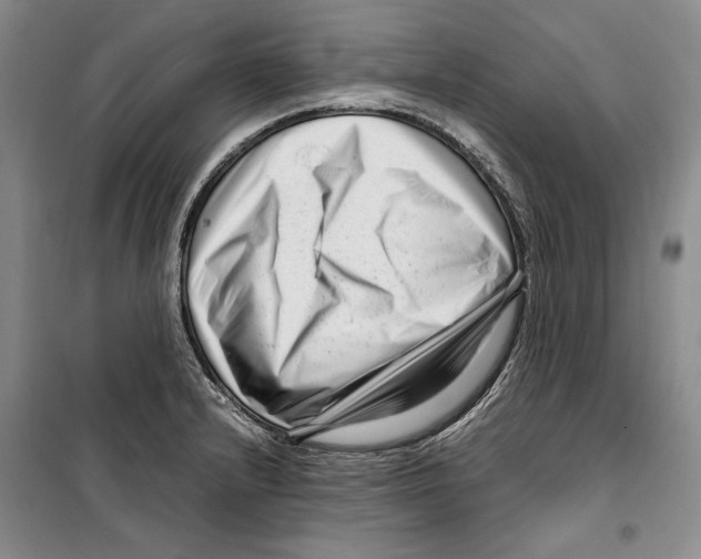 X0000099461232200806061121