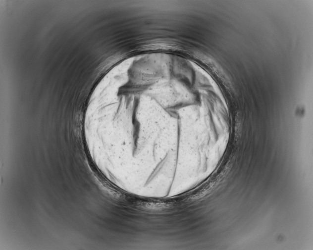 X0000099461233200806061121