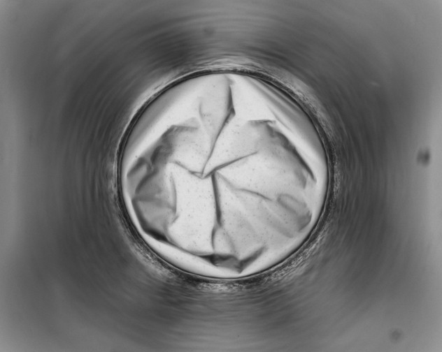 X0000099461234200806061121