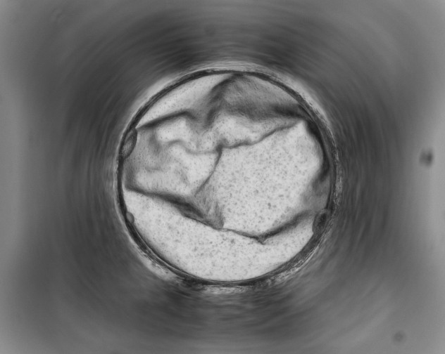 X0000099461237200806061121