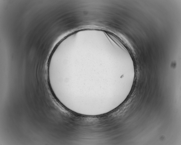 X0000099461238200806061121