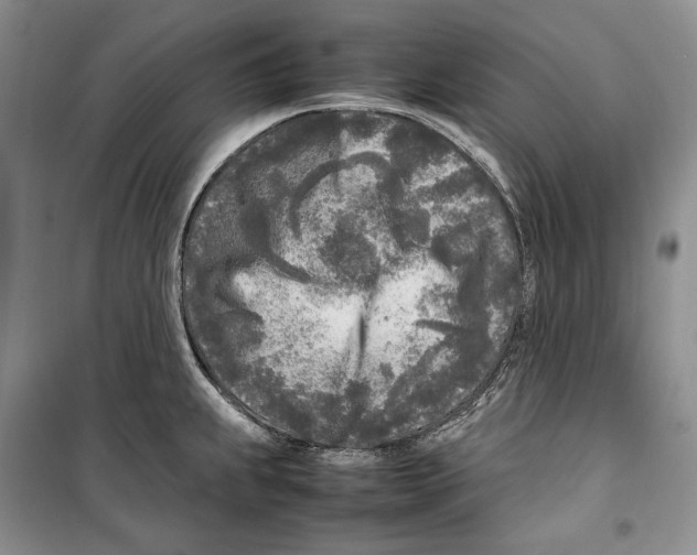 X0000099461239200806061121