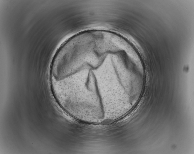 X0000099461240200806061121