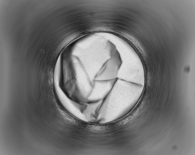 X0000099461241200806061121