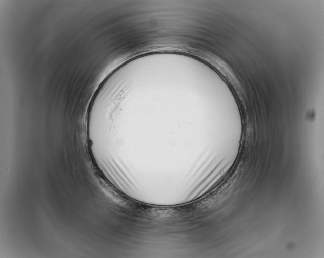 X0000099461242200806061121