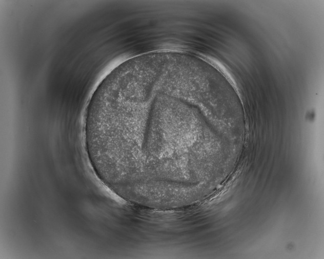 X0000099461243200806061121