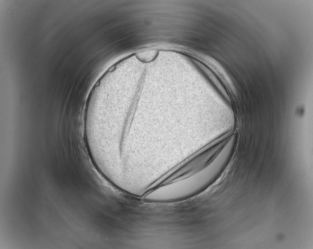 X0000099461244200806061121