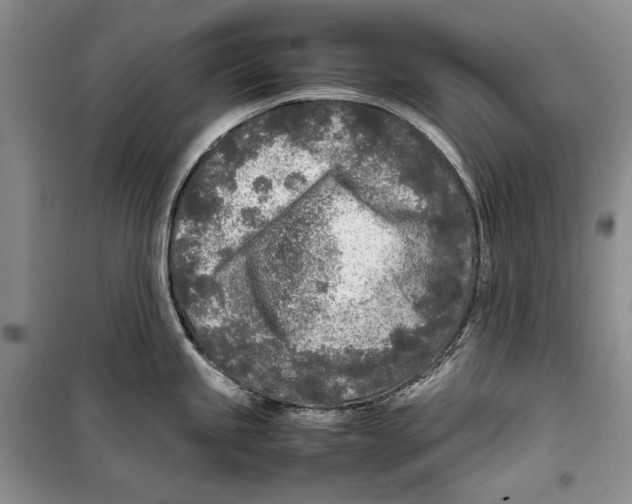 X0000099461245200806061121