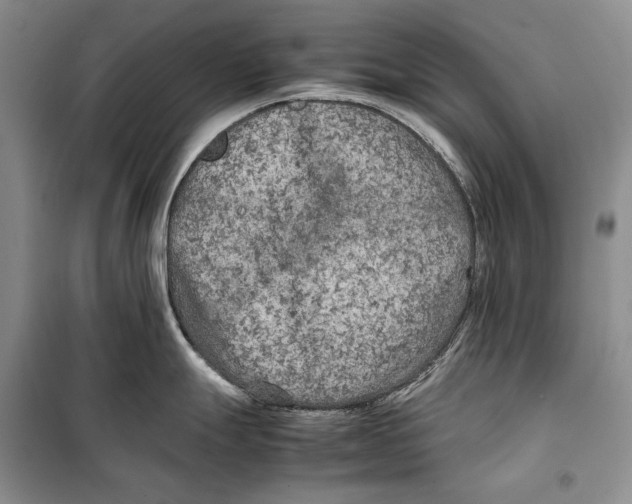 X0000099461247200806061122