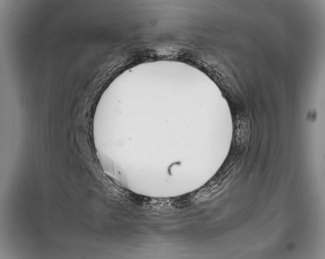 X0000099461249200806061121