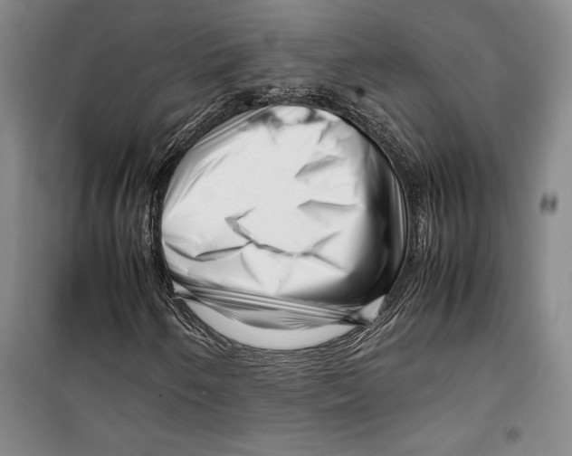 X0000099461250200806061121