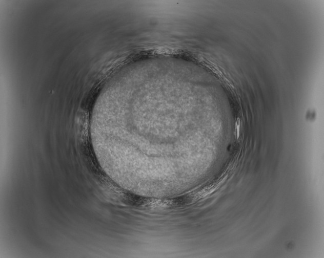 X0000099461251200806061121