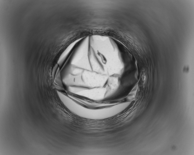 X0000099461252200806061121