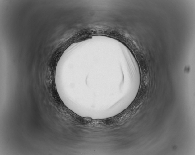 X0000099461253200806061121