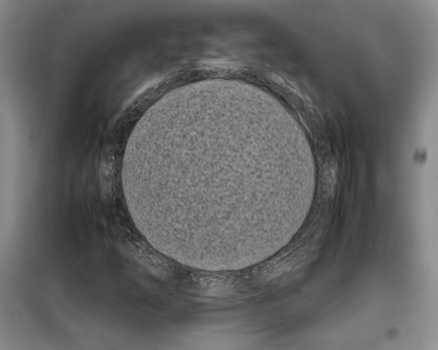 X0000099461254200806061121