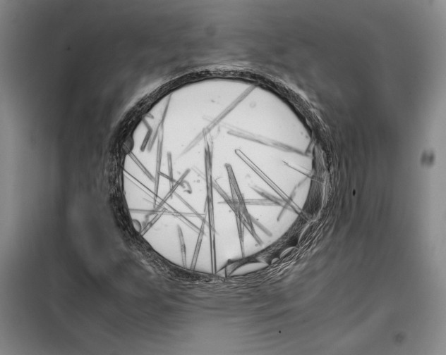 X0000099461255200806061121