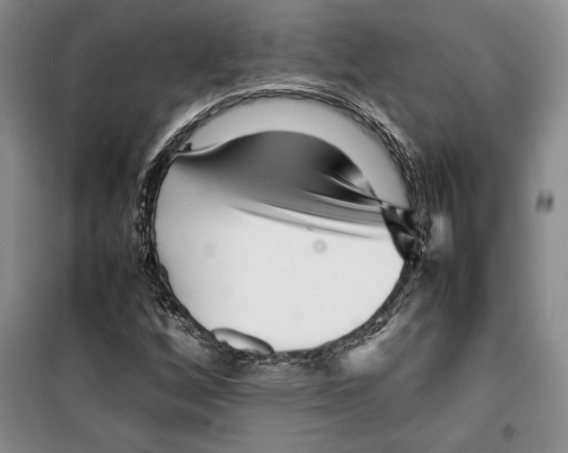 X0000099461256200806061121