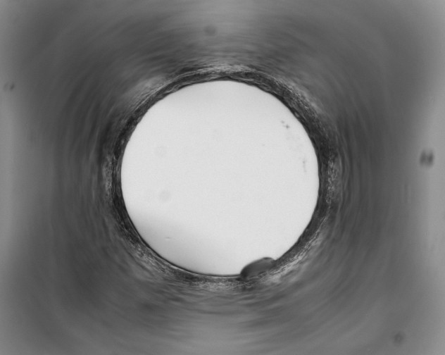 X0000099461257200806061121