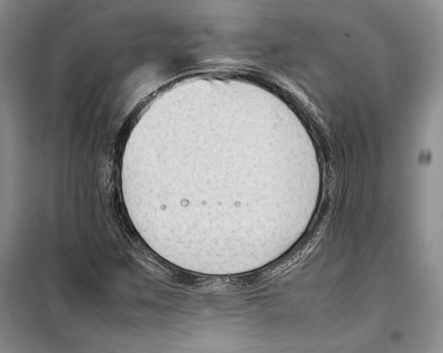 X0000099461259200806061121