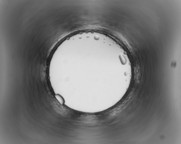 X0000099461260200806061121