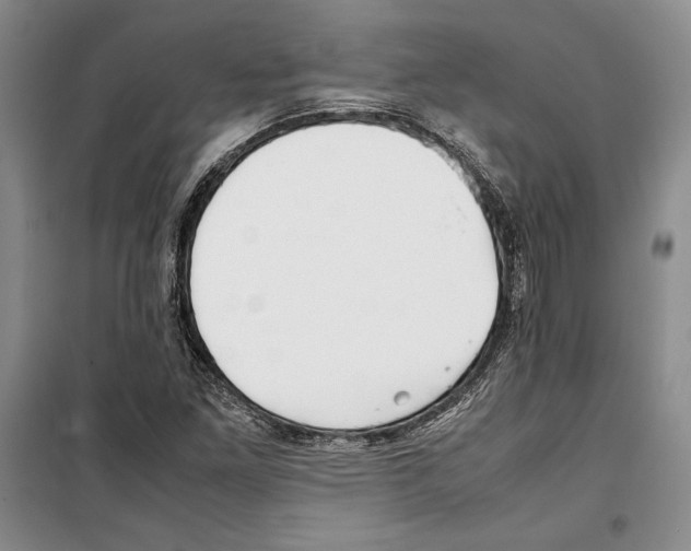 X0000099461261200806061121