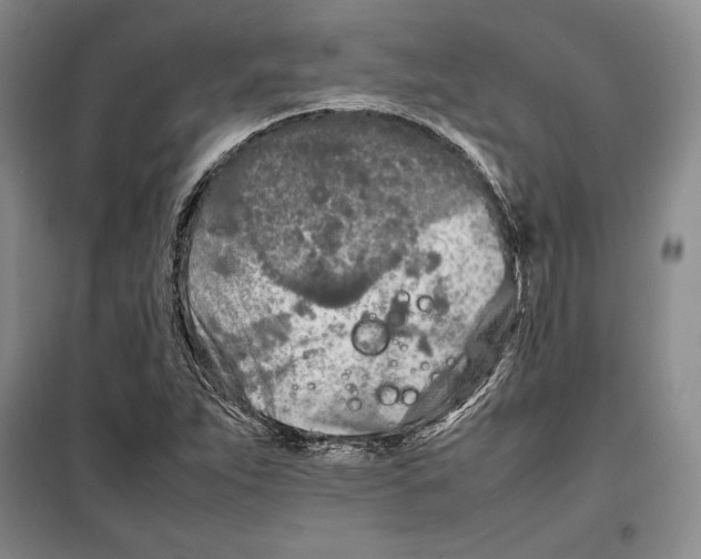 X0000099461263200806061120