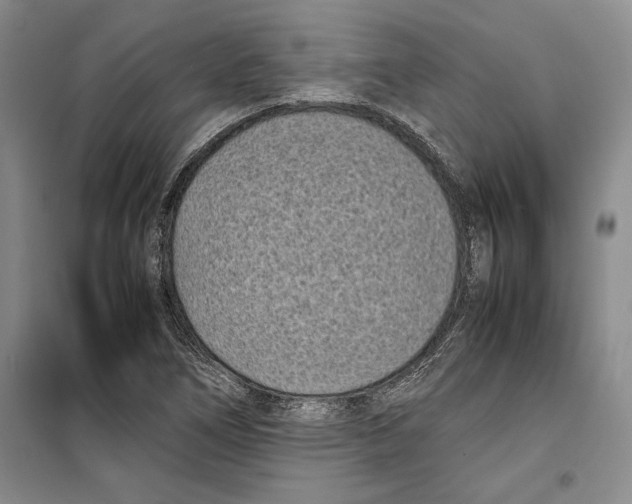 X0000099461266200806061120