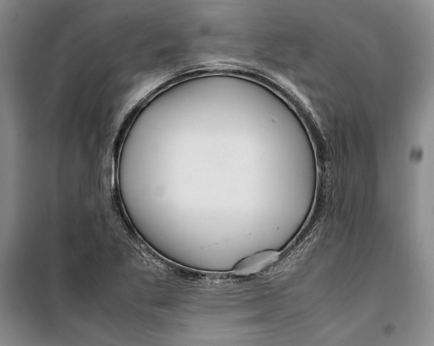 X0000099461269200806061120