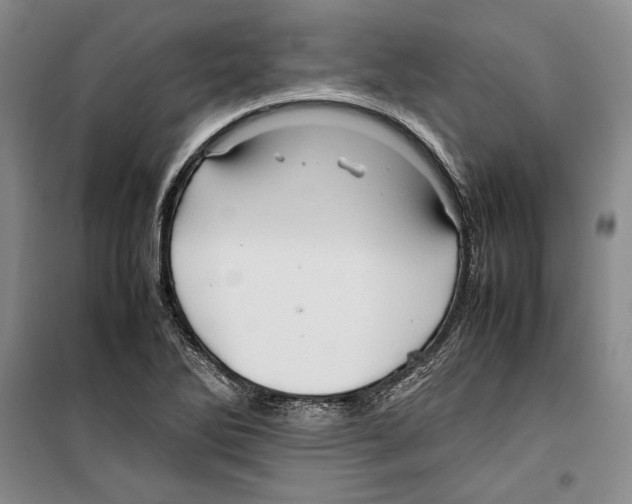 X0000099461270200806061120