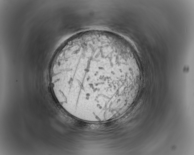 X0000099461271200806061120