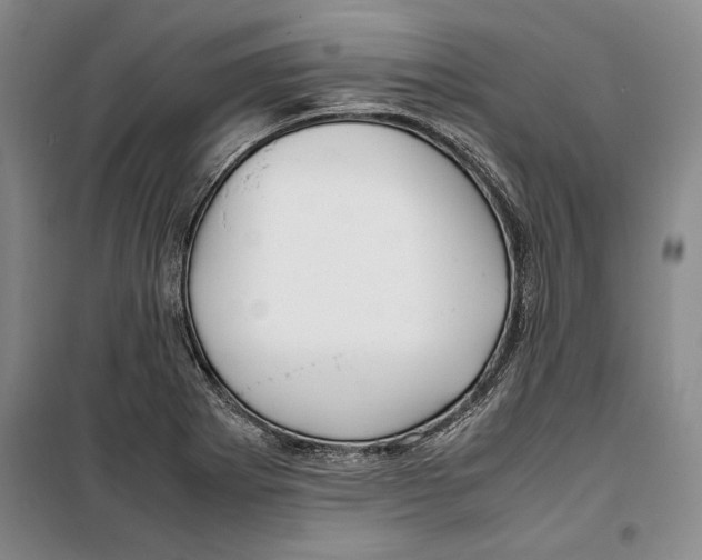 X0000099461273200806061120