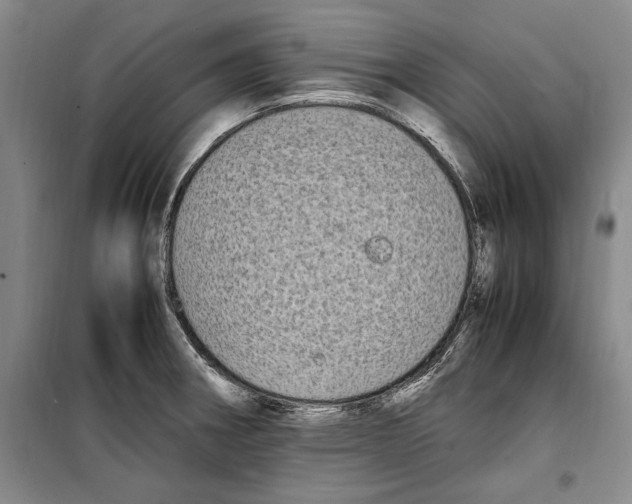 X0000099461282200806061120