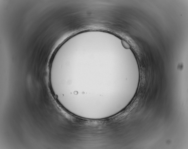 X0000099461286200806061120