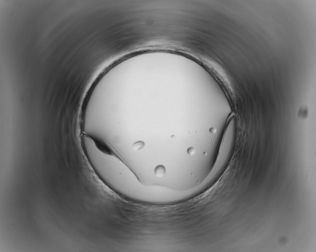 X0000099461288200806061120