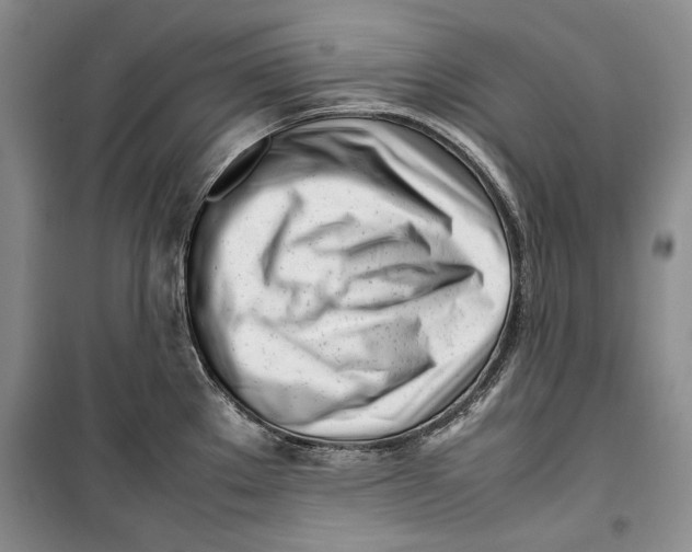 X0000099461289200806061120