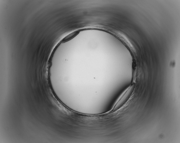 X0000099461292200806061120