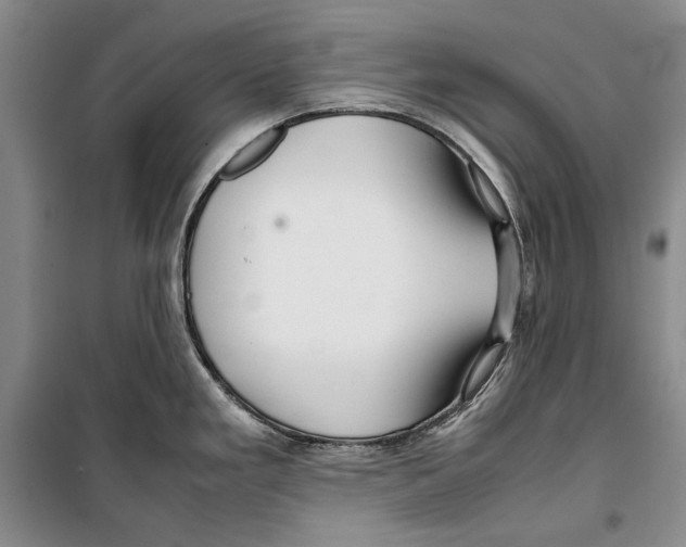 X0000099461293200806061120