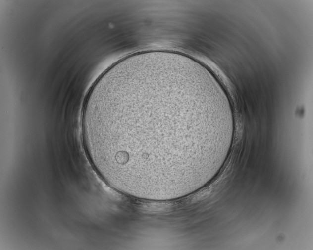 X0000099461294200806061120