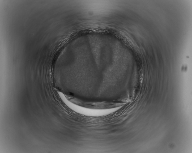 X0000099461298200806061119