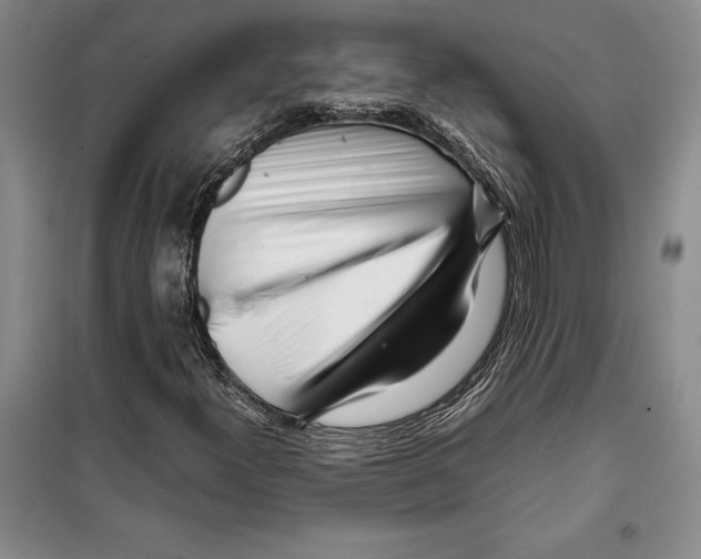 X0000099461300200806061119