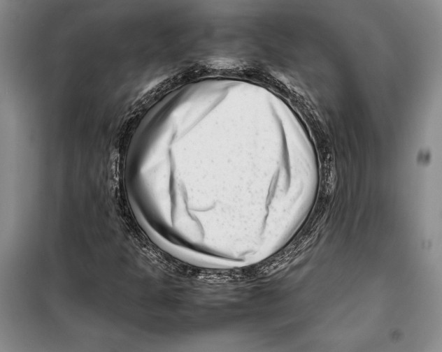 X0000099461301200806061119