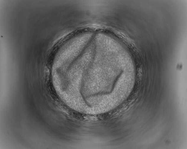 X0000099461302200806061119