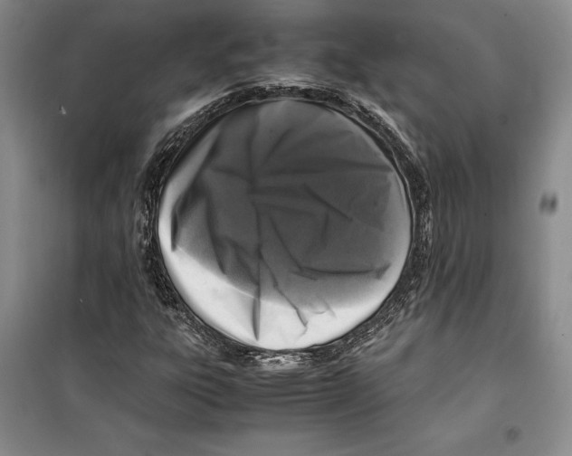 X0000099461303200806061119