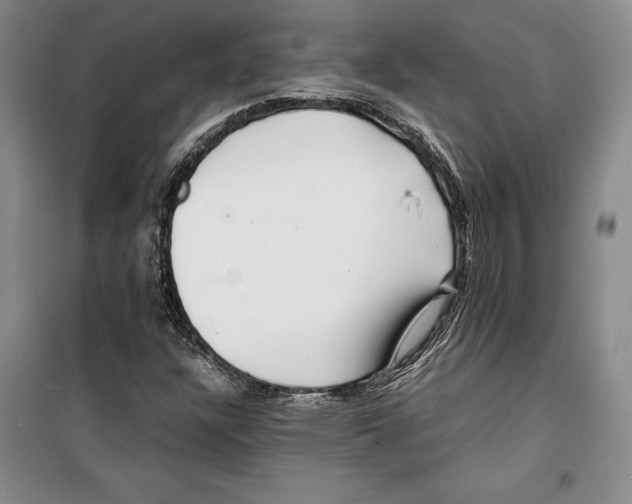 X0000099461304200806061119