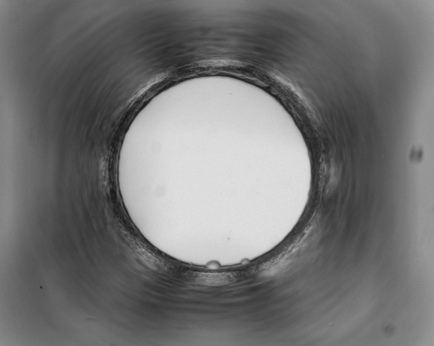 X0000099461305200806061119